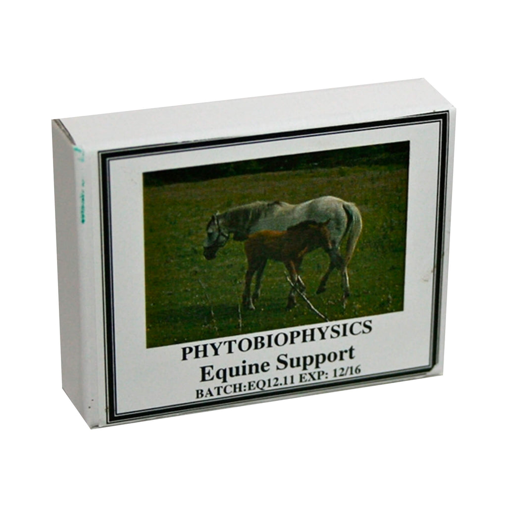 Equine Support Box